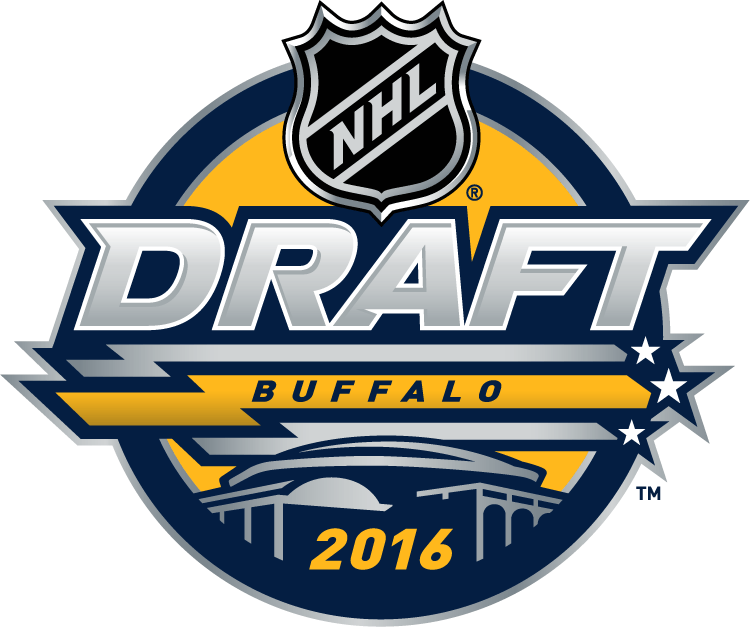 NHL Draft 2016 Primary Logo iron on transfers for clothing